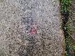 Foto 115:
Kolejne g�ry, inne p�askoryty. Tu �yli ongi� zapaleni wilczarze i lisiarze.
Czyj trop??