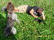 tak wygl�da ,,siad� pies" ;)