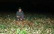 18-08-2012 W zesz�ym sezonie uda�o si� zrobi� dublet do dzik�w, to w tym sezonie jest i lisi dublet. (12, 13)