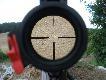 Daniele aktywne s� w �owisku ca�y dzie� ;-D (luneta Docter classic 3-12x56)