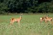 Zn�w uchwyci�em ulotn� chwile 25-08-2012