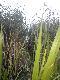 wychodze z  wody po pas a wodery zosta�y w domu