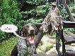 ... wiem �e jeste� niezast�piona Borusiu... ;0)