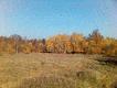 Moja pasja �owiecka
Spotkania w knieji na strzelnicach.Moja droga le�na i strzelecka.Wsp�lna ��dza przyg�d z moj� wsp�towarzyszk� �ow�w.Utrwalone na kliszy,ale nie wszystkie.