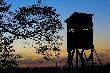 Ambona przy naturalnym n�cisku - dorodnym d�bie. Wspania�e miejsce. W tym roku powinna by� wyj�tkowo atrakcyjna ze wzgladu na ilo�� �o��dzi.