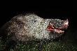u�miech u mnie te� by� na mordce!!!
