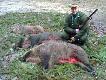 Damian Karamucki
Polowanie zbiorowe 2011/ 2012r. Ko�o �owieckie 29 Daniel w Podaninie
Express Heym 26B kal. 8x57JRS :)