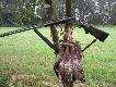 krzy��wki ,ktore pozwoli�y mi po raz pierwszy w tym sezonie zosta� kr�lem polowania D.B.Daniel