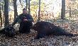 Hubertus u koleg�w z WK� Kszyk 