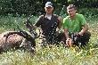 Brok i jego w�a�ciciel formu�owy krzysiek_falconer wielki szacunek.