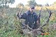 Do wyceny 12stak reg. do oceny 8ak reg. My�le �e ok 6 kg, wiek 8-9lat, waga tuszy 217kg :) 