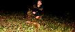 Lisek my�la� �e jest poza zasi�giem ale si� pomyli�. PS: Damian dopiero teraz uda�o mi sie wyci�gn�� lisa od sasiad�w hehe (lisia pustynia)