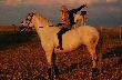 Jako� tak wysz�o, �e zarazi�am Bogusia mi�o�ci� do je�dziectwa :]