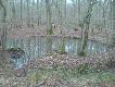 Wszechobecna d�bina.M�odniki d�bowe a do tego naturalne cieki wodne.Wspania�e warunki dla zwierzyny.