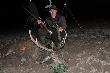 I w ko�cu jest pierwszy  byczek w tym sezonie ......waga 128 kg,Pozdrawiam   DB  RAJMUND..