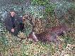 m�j byk...