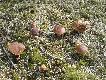 25.09.2012.dzi� zn�w poszcz�ci�o