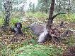 Drugi nasz odnaleziony byk na tegorocznym rykowisku. Kolega przyjecha� po mnie i powiedzia�, ze spud�owa� byka... Jak� mielismy mine gdy Beksa doprowadzi�a do zgaszonego jelenia wie chyba tylko �w. Hubert... �cie�ka po oko�o dw�ch godzinach d�ugo�ci ponad 200 metr�w... Jasiu jeszcze raz gratuluje...DB