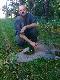 �ania strzelona dzi� rano by�a w chmarze z stadnym bykiem waga tuszy 69kg