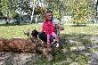 Dwunastak nieregularny, �sme poro�e, dziewi�ty rok �ycia,waga w skupie 140kg. Na zdj�ciu moja c�rka Hania i pies Rika.