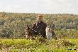 Canislupus4 & Fero pod Wierbsk� Buczyn� 