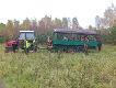 Pogoda i lisy dopisa�y