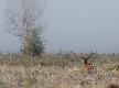21-09-2012 Zdj�cie dokumentacyjne. By� taki aktor 12tak