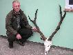 Kolega Andrzej nie kwapi si� z wrzuceniem zdj�� z tym �smaczkiem - bagatela 7 kg!!!Wycena - bardzo mocny br�z,pierwszy byk w �yciu.