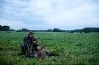 Wieczny �smak , strzelony podczas rykowiska na terenie Mojego obwodu �owieckiego,  przez Koleg� Jana, podczas wieczornego polowania z zasiadki.D.B