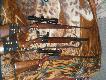 bro
od gry; ZKK600 kal.30.06 i dot 2.5-10x50, cz  584 kal. 7x65R/12X70, ZBK110 kal. 5,6x52R  i zeiss 4x32