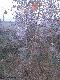 Czu� klimat porannych jesiennych �ow�w
