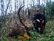 Chodzi�em, szuka�em, a� wreszcie si� trafi�. Byk o wadze 147 kg, wieku 8 lat. Waga wie�ca ok. 6,5 kg. Darz b�r!