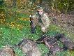 W dniu wczorajszym zosta�em kr�lem polowania w moim kole ,,Rogacz'' W�gorzyno robi�c dubleta do przelatk�w.
Stanowisko nr.13 :) Testowa�em now� amunicj� Hornady 14 gram-niez�y stoper.