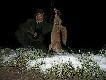 Da� si� podej�� ,i zosta�..10 lisek w tym sezonie strzelony z kuli ..DARZ B�R ...