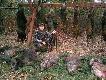 Kol. �ukasz kr�l polowania -polowania hubertowskiego . W pierwszym miocie 3 dziki . Gratuluje D.B.