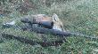 4.11.12 Lis, am.Lapua Mega