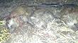 28.10.12Dwa taty, jeden m�j. 