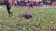 Pokot polowania Hubertowskiego, kr�lem polowania zosta� m�j Tato.