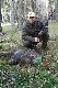 03-11-2012 Hubertus, 3 miot, dziki dwa razy przep�dzone po m�odniku i po chwili s�ysz� co� w g�stwinie choinek ... Dzik dochodzi po mojej lewej do lini my�liwych, chwila zastanowienia i  opuszcza miot. Na pi�tym metrze za duktem strza� i dzik roluje przez gwizd ... 