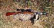 Borsuk strzelony 02.11.2012r.
Strzelony z kniej�wki kul� kal.7x57R.Pocisk Hornady Interbond 154gr. Odleg�o�� ok 50m.