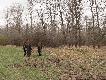 Naroczycki ��g od strony Ciech�owic