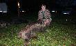 Hubertus 03.11.2012 
Na pokocie 10 dzik�w, 1 sarna i lis.