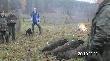 Pokot ....bez pozosta�ych podk�adaczy.Jeden z ps�w zap�dzi� sie za strzelanymi  dzikami w miocie i trzeba by�o go poszuka�.Jak to pisali fachoFcy pewnie g�upi bo sie zgubi�.