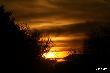 
...wczesnym �witem...