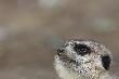 10-11-2012 ZOO Wroc�aw