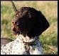 IZIS z Czarciego Uroczyska - 8 m-cy