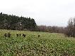 Pierwsze p�dzenie - Naloty