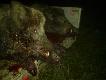 to one by�y przyczyn� postawienia tej ambony w tym miejscu  100 i 104 kg or�e  obydwa  na braz 