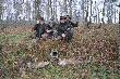 Dwa lisy ze sztucznej nory Jeden m�j drugi Kol Macieja.Lisy wyp�dzone przez ALM� (Lisi Prze�ladowca)