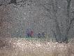 I to jest w�a�nie "urok" polowa� na tych terenach - czasem spacerowicze stan� i ogl�daj�.